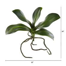 Load image into Gallery viewer, 9" Phalaenopsis Orchid Leaf Artificial Flower (Set of 6)