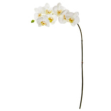 Load image into Gallery viewer, 32" Phalaenopsis Orchid Artificial Flower (Set of 6)