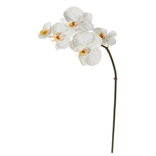 Load image into Gallery viewer, 20" Phalaenopsis Orchid Artificial Flower (Set of 12)
