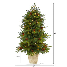 Load image into Gallery viewer, 4' Yukon Mountain Fir Artificial Christmas Tree w/ 100 Clear Lights, Pine Cones