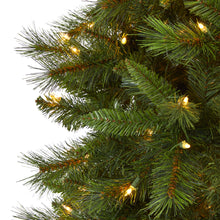 Load image into Gallery viewer, 9' Slim West Virginia Mountain Pine Artificial Christmas Tree w600 Clear Lights