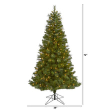 Load image into Gallery viewer, 6' Mount Hood Spruce Artificial Christmas Tree w 300 Warm White Lights