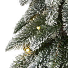 Load image into Gallery viewer, 3.5' Flocked Washington Alpine Christmas Tree with 50 White Warm LED lights