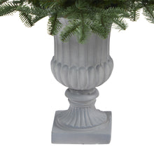Load image into Gallery viewer, 3.5' South Carolina Spruce Artificial Christmas Tree w/ 100 White Warm Light