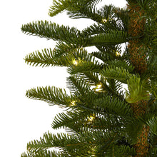 Load image into Gallery viewer, 6' Alaskan Alpine Artificial Christmas Tree with 100 Clear Microdot