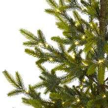 Load image into Gallery viewer, 6' Fraser Fir "Natural Look" Artificial Christmas Tree