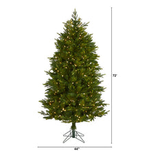 Load image into Gallery viewer, 6' Hartford Fir Artificial Christmas Tree w/250 Warm (Multifunction LED Lights