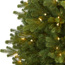 Load image into Gallery viewer, 5.5' Washington Fir Artificial Christmas Tree with 300 Clear Lights