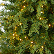 Load image into Gallery viewer, 4.5' Vancouver Fir 'Natural Look' Artificial Christmas Tree w/ 250 Clear LED