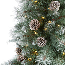 Load image into Gallery viewer, 6' Frosted Tip British Columbia Mountain Pine Artificial Christmas Tree