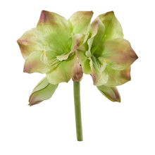 Load image into Gallery viewer, 13" Amaryllis Artificial Flower (Set of 4)