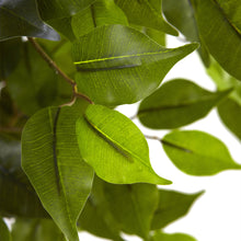Load image into Gallery viewer, 5.5' Ficus Tree UV Resistant (Indoor/Outdoor)