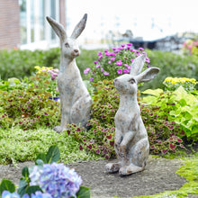 Load image into Gallery viewer, Weathered Stone Standing Garden Rabbit Figurine (Set of 2)
