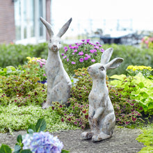 Load image into Gallery viewer, Weathered Stone Standing Garden Rabbit Figurine (Set of 2)