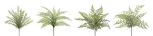 Load image into Gallery viewer, Assorted Fern Foliage Bush (Set of 12)