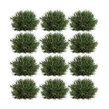 Load image into Gallery viewer, Spring Grass Half Orb (Set of 12)