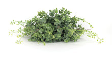Load image into Gallery viewer, Spring Boxwood Foliage Half Orb (Set of 6)