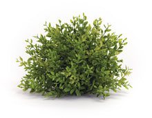 Load image into Gallery viewer, Spring Mini Leaf Foliage Half Orb (Set of 6)
