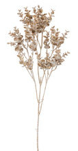 Load image into Gallery viewer, Gold Frosted Eucalyptus Spray (Set of 12)