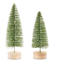 Load image into Gallery viewer, LED Lighted Green Bottle Brush Tree with Wood Base and Gold Accent (Set of 4)
