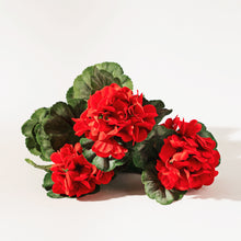 Load image into Gallery viewer, Red Geranium Floral Bush (Set of 2)