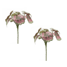 Load image into Gallery viewer, Varigated Begonia Leaf Bush (Set of 2)