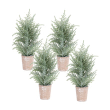 Load image into Gallery viewer, Frosted Holiday Pine Tree in Paper Pot (Set of 4)