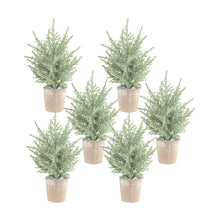 Load image into Gallery viewer, Frosted Holiday Pine Tree in Paper Pot (Set of 6)