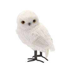 Load image into Gallery viewer, White Winter Owl Foam Decoration (Set of 4)