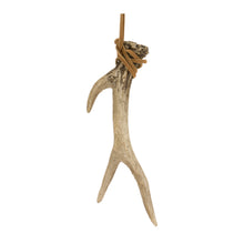 Load image into Gallery viewer, Rustic Deer Antler Hanging Ornament with Rope Tie (Set of 12)