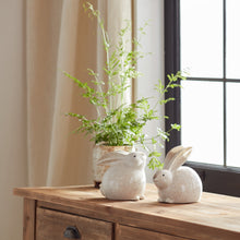 Load image into Gallery viewer, Rustic Terra Cotta Bunny Figurine (Set of 4)