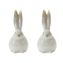 Load image into Gallery viewer, Rustic Terra Cotta Bunny Figurine (Set of 2)