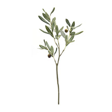 Load image into Gallery viewer, Olive Leaf Branch Spray (Set of 6)