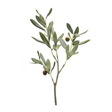 Load image into Gallery viewer, Olive Leaf Branch Spray (Set of 6)