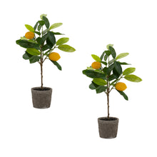 Load image into Gallery viewer, Lemon Fruit Silk Tree with Pot (Set of 2)