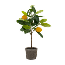 Load image into Gallery viewer, Lemon Fruit Silk Tree with Pot (Set of 2)