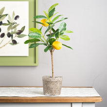 Load image into Gallery viewer, Lemon Fruit Silk Tree with Pot (Set of 2)