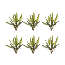 Load image into Gallery viewer, Varigated Fern Foliage Bush (Set of 6)