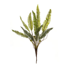 Load image into Gallery viewer, Varigated Fern Foliage Bush (Set of 6)
