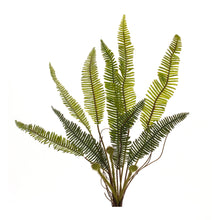 Load image into Gallery viewer, Varigated Fern Foliage Bush (Set of 6)