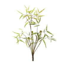 Load image into Gallery viewer, Mini Fern Foliage Bush with Sprout Accent (Set of 6)