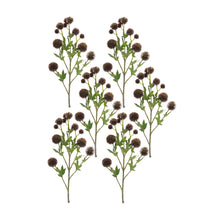Load image into Gallery viewer, Brown Allium Floral Spray (Set of 6)