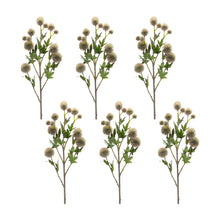 Load image into Gallery viewer, Sage Allium Floral Spray (Set of 6)