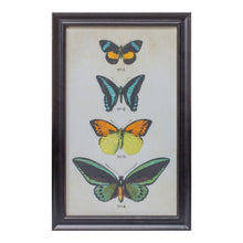 Load image into Gallery viewer, Framed Encyclopedia Butterfly Print Under Glass (Set of 2)