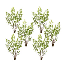 Load image into Gallery viewer, Varigated Fern Bundle with Sprout Accents (Set of 6)