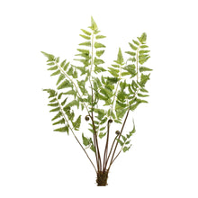 Load image into Gallery viewer, Varigated Fern Bundle with Sprout Accents (Set of 6)