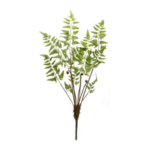 Load image into Gallery viewer, Varigated Fern Bundle with Sprout Accents (Set of 6)