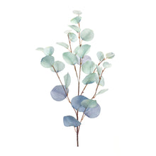 Load image into Gallery viewer, Blue Silver Dollar Eucalyptus Leaf Spray (Set of 6)