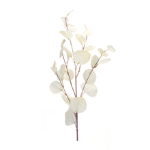 Load image into Gallery viewer, Ivory Silver Dollar Eucalyptus Leaf Spray (Set of 6)