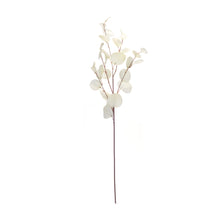 Load image into Gallery viewer, Ivory Silver Dollar Eucalyptus Leaf Spray (Set of 6)